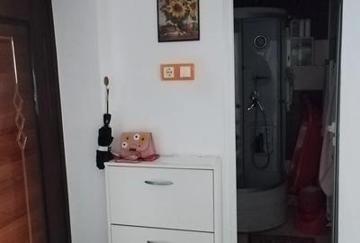 Apartament cu 3 camere decomandat în Olari - 3