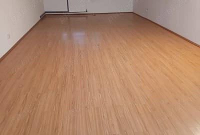 Vila de inchiriat D+P+E+M in zona Prefectura - 5