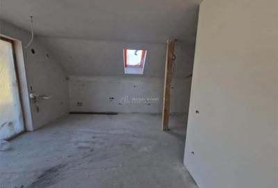 Ramnicu Valcea - Stirbei Voda - Raul Olanesti - 2