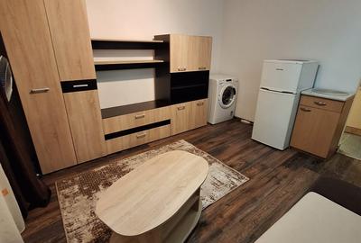 Soarelui-aproape de Sud Plaza - 6