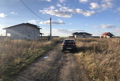 Teren Covaci-770-1540 mp la asfalt - 3