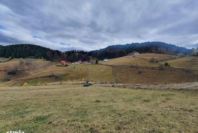 Teren de 9515 mp, în Bran - 1