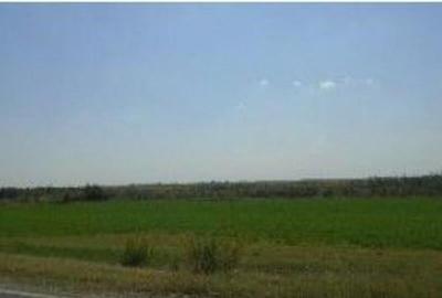 Teren cota parte 1/6, Branistea, ID: R2757177 - 1