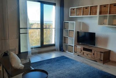 20th Residence Garsoniera Crangasi Regie Petrache Poenaru Grozavesti - 1