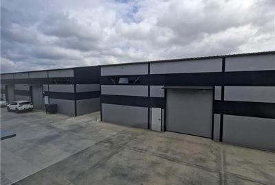 Spațiu comercial, de 600 mp, în Ștefăneștii de Jos - 14
