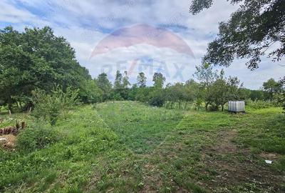 Casa de vanzare - 13