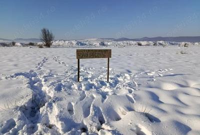 Teren de 4000 mp, în Florești - 5
