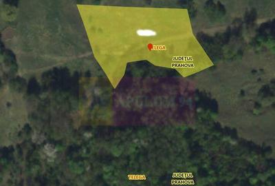 Teren extravilan de vanzare in Telega - 6