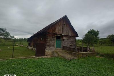 Casă cu 4 camere cu Teren 2651 Mp în Baia de Criș - 9