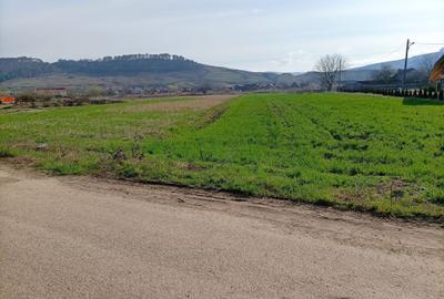 Teren Construcții intravilan de 1031 mp, în Bonțida