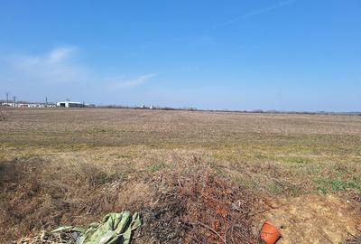 Crevedia - teren 10.000 mp. intravilan Crevedia - teren 10.000 mp. intravilan - 5