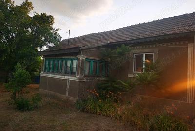 Casă cu 4 camere cu Teren 3000 Mp în Ostrov