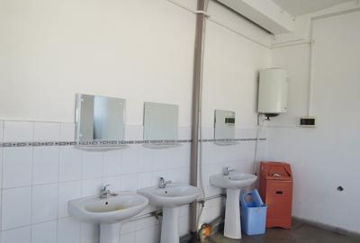 Cladire industriala in Curtea de Arges, 700000 EURO - 6