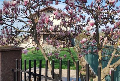 Casă cu 4 camere în Periș - 3