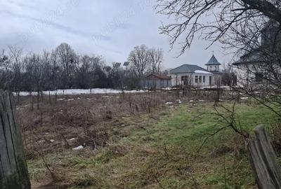 Casă cu Teren 2000 Mp în Cuza Vodă - 4