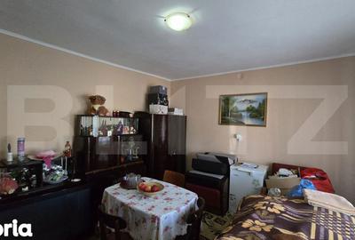Casă cu 2 camere cu Teren 4446 Mp în Păulești - 12