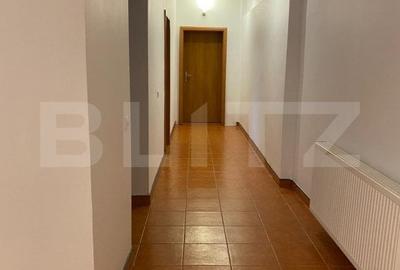 Casa D+P+E, spatiu comercial, 527 mp teren, Str Paltinis, 0% comision - 12