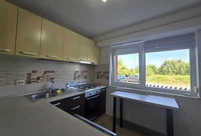 Apartament cu 2 camere semidecomandat, mobilat în 9 Mai - 7