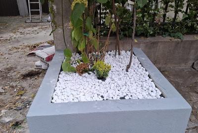 Dorobanți Vând ap 5 cam vila interbelica renovat complet instalații noi parcare - 10