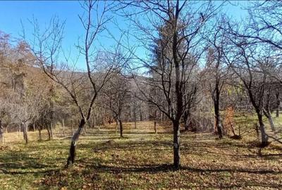 Oportunitate de investi?ie agricola Teren extravilan d - 2