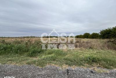 Teren de 15000 mp, în Centură - 13