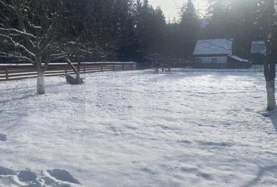 Vanzare 2 case tradi?ionale, 3 camere + teren, 3450 mp, Ca - 15