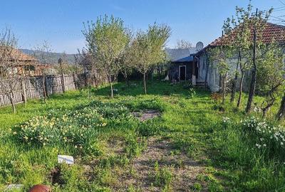 Casă cu Teren 5000 Mp în Unguriu - 3