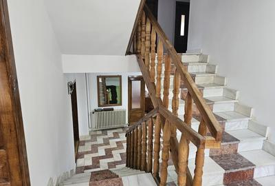 Casa vila cu 10 camere, loc Izbuc, Bihor Casa vila cu 10 camere, loc Izbuc, Bihor - 12