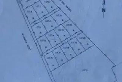 Vindem parcele de 700 mp in Marghita,Bihor Vindem parcele de 700 mp in Marghita,Bihor - 2