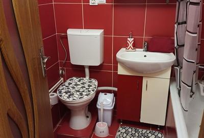 Apartament cu 2 camere decomandat în Berceni - 4