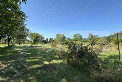 Casă cu 3 camere cu Teren 5755 Mp în Bistra Mureșului - 15