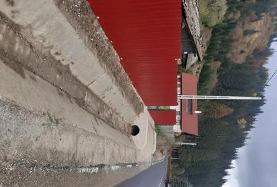 Casă cu 3 camere cu Teren 1930 Mp în Tulgheș - 11