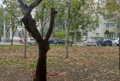 Vanz gars la P din 4, 16 mp, bloc de ap ?i gars, 1994, izolat,sect 2-zona Doamna Ghica, 32000 Euro - 6