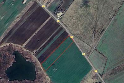 Teren de 8083 mp, în Urziceanca - 1