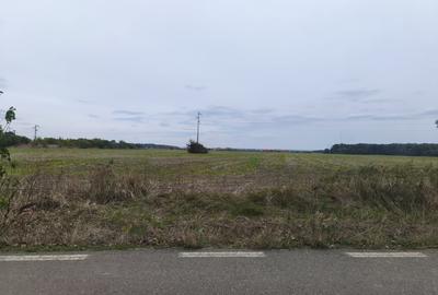 Teren extravilan 9113 mp in apropierea drumului E85 - 6