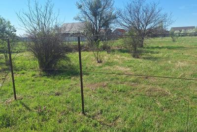 Teren Construcții intravilan de 2262 mp, în Dragomirești-Vale - 8