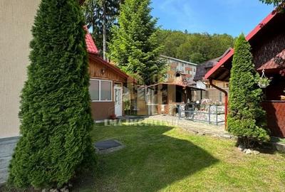 Casa Pensiune Busteni zona Camil Petrescu - 2