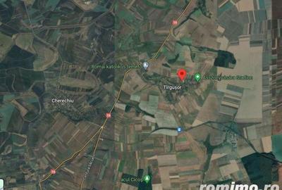 Cota de 5/8 din teren, Cherechiu, Judetul Bihor-id R1985778 - 1