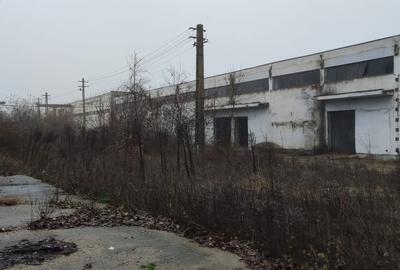 Spațiu industrial, de 4,900 mp, în Mitreni - 5