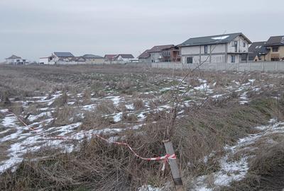 Teren de 9663 mp, în Pielești - 4