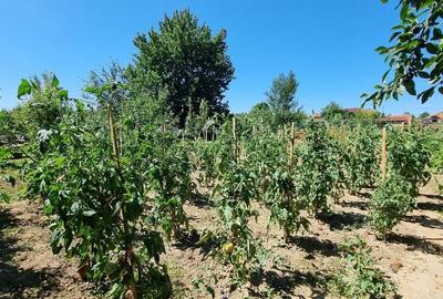 Casa finisata in Lazuri cu teren 1452 mp - 15