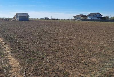 Teren Construcții intravilan de 538 mp, în Adunații-Copăceni - 3