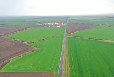 Teren industrial Dudestii Noi - 2