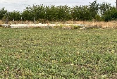 Teren de 3000 mp, în Checea - 7