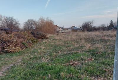 Teren intravilan Buftea - 1