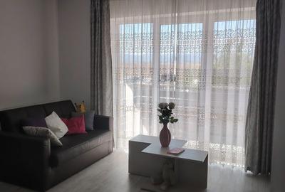 Apartament cu 2 camere decomandat în Șelimbăr - 6
