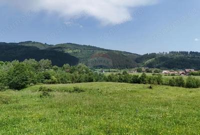 Comision 0% | Teren intravilan cu izvor | 2,730mp | Zarne?ti | - 8