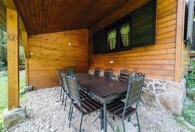 Casa de vacanta (Borzont, jud. Harghita) - 4