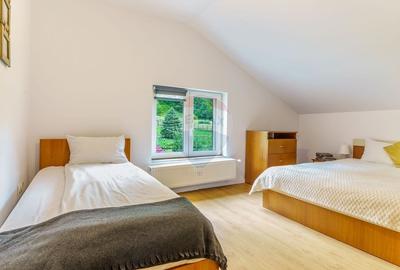 Cabana de vanzare -Marisel, 10 camere, terasa 41mp, piscina, ciubar - 27