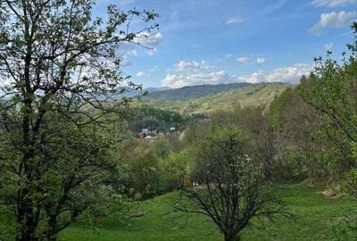 Spațiu comercial, în Breaza - 19